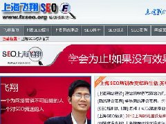 上海飞翔SEO培训资料站